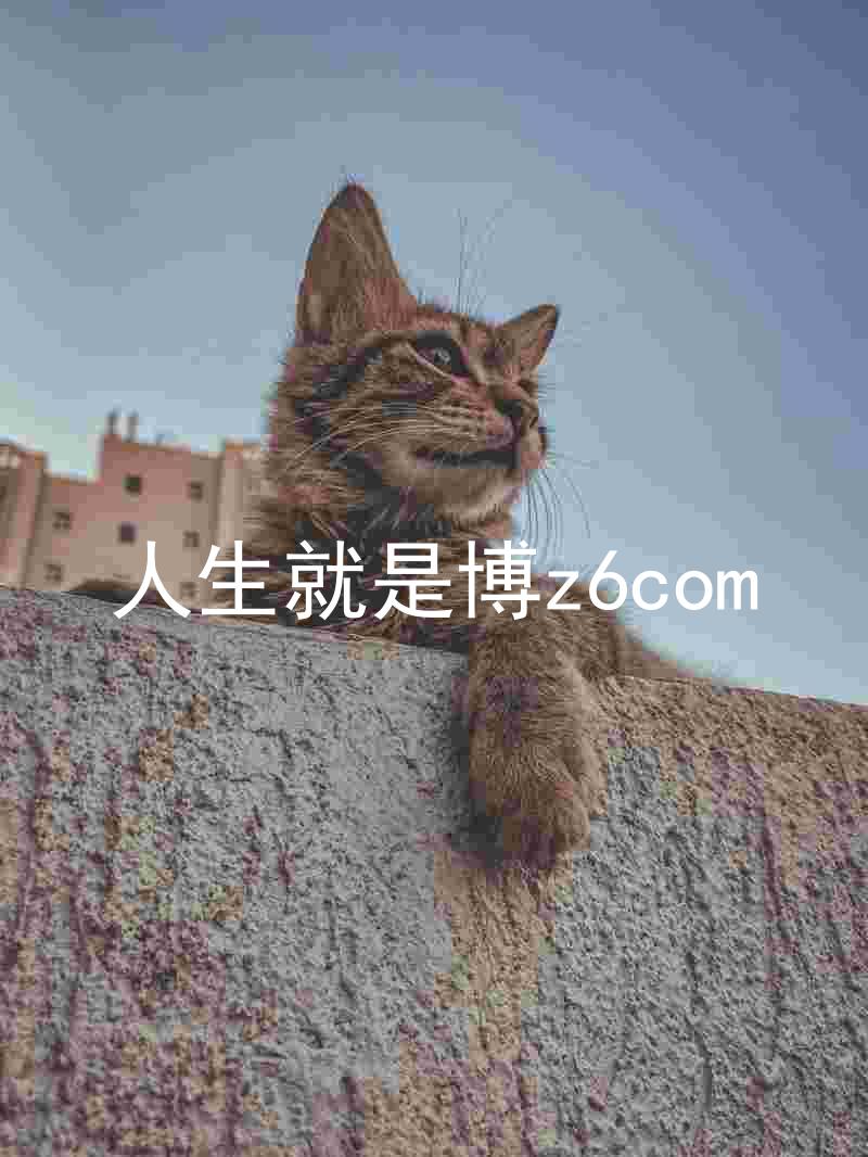 人生就是博z6com