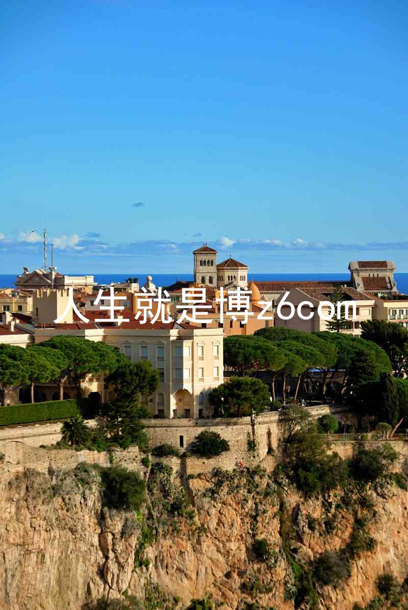 人生就是博z6com